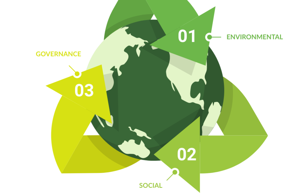 Sustainability and ESG Reporting: Where to Begin?