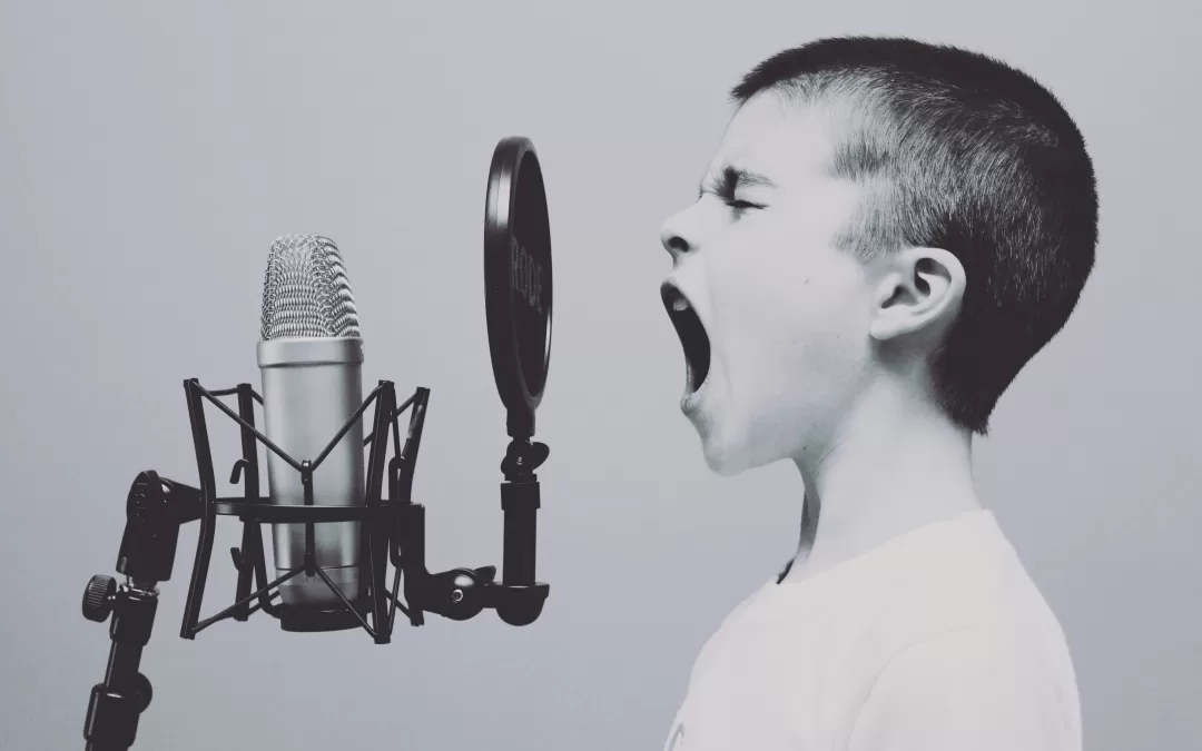 Use Your (Brand) Voice! How to Tailor Consistent Messaging Strategies