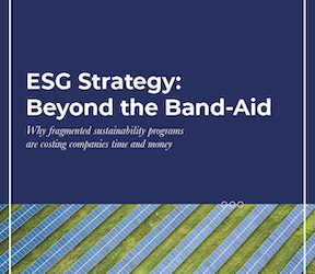 ESG Strategy: Beyond the Band-Aid