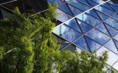 Corporate Sustainability: The Business Case, Rebuilt