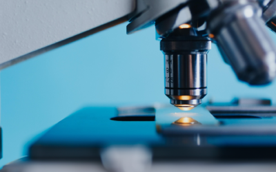 Building Momentum Between Milestones: Life Sciences Communications in the Quiet Phase